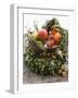 Christmas Decoration: Fruit, Nuts, Cones and Box Wreath-null-Framed Photographic Print