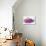 Christmas Decoration Purple Pink Ones-Andrea Haase-Photographic Print displayed on a wall