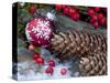 Christmas Decoration, Still Life-Andrea Haase-Stretched Canvas