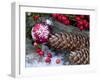 Christmas Decoration, Still Life-Andrea Haase-Framed Photographic Print