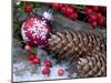 Christmas Decoration, Still Life-Andrea Haase-Mounted Photographic Print