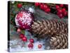 Christmas Decoration, Still Life-Andrea Haase-Stretched Canvas