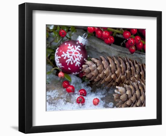 Christmas Decoration, Still Life-Andrea Haase-Framed Photographic Print