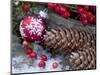 Christmas Decoration, Still Life-Andrea Haase-Mounted Photographic Print