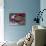 Christmas Decoration, Still Life-Andrea Haase-Photographic Print displayed on a wall