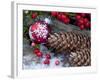 Christmas Decoration, Still Life-Andrea Haase-Framed Photographic Print