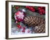 Christmas Decoration, Still Life-Andrea Haase-Framed Photographic Print