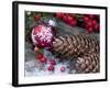 Christmas Decoration, Still Life-Andrea Haase-Framed Photographic Print