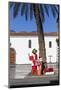Christmas Decoration under a Palm on the Plaza De Espana, Old Town of Los Llanos, La Palma-Gerhard Wild-Mounted Photographic Print