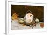Christmas Decoration, Wind Light-Fact-Framed Photographic Print