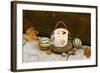 Christmas Decoration, Wind Light-Fact-Framed Photographic Print