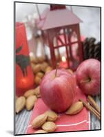 Christmas Decoration with Apples, Nuts, Cinnamon & Lantern-null-Mounted Photographic Print