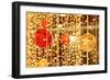 Christmas Decoration-Catharina Lux-Framed Photographic Print