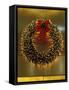 Christmas Decorations in Midtown Manhattan, New York, USA-Stuart Westmoreland-Framed Stretched Canvas