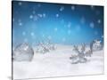 Stretched Canvas