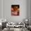 Christmas Decorations-Nico Tondini-Photographic Print displayed on a wall