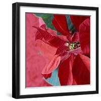 Christmas Decorations-Sean Justice-Framed Photographic Print