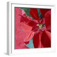 Christmas Decorations-Sean Justice-Framed Photographic Print