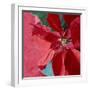 Christmas Decorations-Sean Justice-Framed Photographic Print