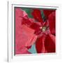 Christmas Decorations-Sean Justice-Framed Photographic Print