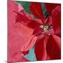 Christmas Decorations-Sean Justice-Mounted Photographic Print