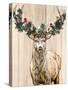 Christmas Deer-Kim Allen-Stretched Canvas