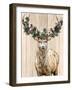 Christmas Deer-Kim Allen-Framed Art Print