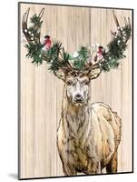Christmas Deer-Kim Allen-Mounted Art Print