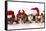 Christmas Dog - Cute Christmas Concept with One Naughty Dog in a Bunch of Santa's-Willee Cole-Framed Stretched Canvas