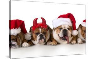 Christmas Dog - Cute Christmas Concept with One Naughty Dog in a Bunch of Santa's-Willee Cole-Stretched Canvas