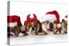 Christmas Dog - Cute Christmas Concept with One Naughty Dog in a Bunch of Santa's-Willee Cole-Stretched Canvas