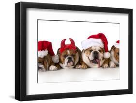 Christmas Dog - Cute Christmas Concept with One Naughty Dog in a Bunch of Santa's-Willee Cole-Framed Photographic Print