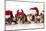 Christmas Dog - Cute Christmas Concept with One Naughty Dog in a Bunch of Santa's-Willee Cole-Mounted Photographic Print