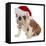 Christmas Dog - English Bulldog Wearing Santa Hat Holding Christmas Bell-Willee Cole-Framed Stretched Canvas