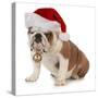Christmas Dog - English Bulldog Wearing Santa Hat Holding Christmas Bell-Willee Cole-Stretched Canvas