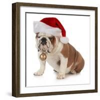 Christmas Dog - English Bulldog Wearing Santa Hat Holding Christmas Bell-Willee Cole-Framed Photographic Print