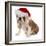 Christmas Dog - English Bulldog Wearing Santa Hat Holding Christmas Bell-Willee Cole-Framed Photographic Print