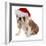 Christmas Dog - English Bulldog Wearing Santa Hat Holding Christmas Bell-Willee Cole-Framed Photographic Print