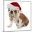 Christmas Dog - English Bulldog Wearing Santa Hat Holding Christmas Bell-Willee Cole-Mounted Photographic Print