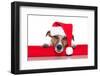 Christmas Dog Santa Baby-Javier Brosch-Framed Premium Photographic Print
