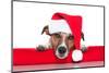 Christmas Dog Santa Baby-Javier Brosch-Mounted Premium Photographic Print