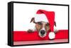 Christmas Dog Santa Baby-Javier Brosch-Framed Stretched Canvas