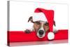 Christmas Dog Santa Baby-Javier Brosch-Stretched Canvas