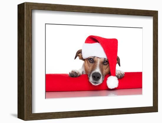 Christmas Dog Santa Baby-Javier Brosch-Framed Photographic Print