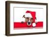 Christmas Dog Santa Baby-Javier Brosch-Framed Photographic Print