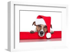 Christmas Dog Santa Baby-Javier Brosch-Framed Photographic Print