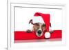 Christmas Dog Santa Baby-Javier Brosch-Framed Photographic Print