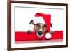 Christmas Dog Santa Baby-Javier Brosch-Framed Photographic Print