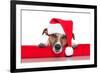 Christmas Dog Santa Baby-Javier Brosch-Framed Photographic Print