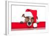 Christmas Dog Santa Baby-Javier Brosch-Framed Photographic Print